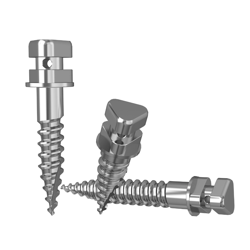 Stainless Steel Anchor Screw-2