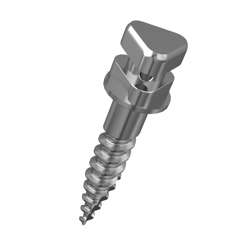 Stainless Steel Anchor Screw