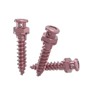 Titannium Alloy Micro Screw Orthodontics