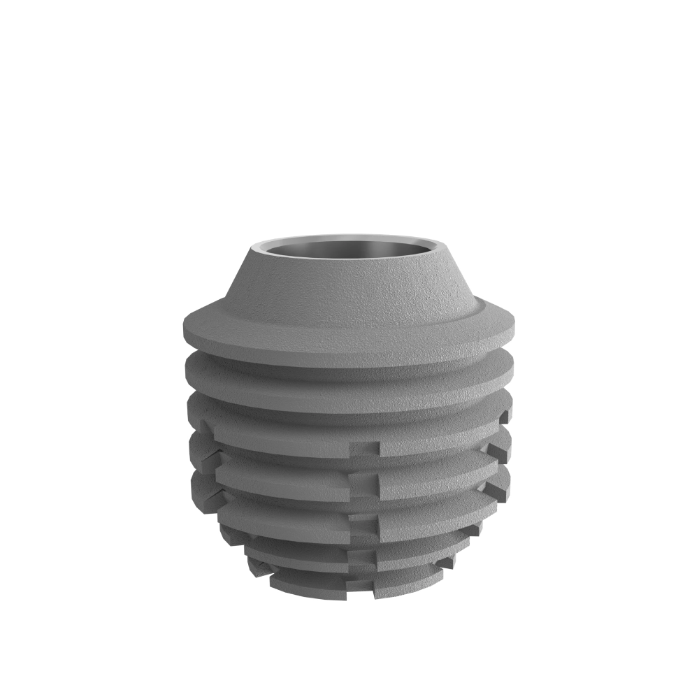 Implants φ6x6