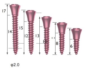 Supporting Screw System 01