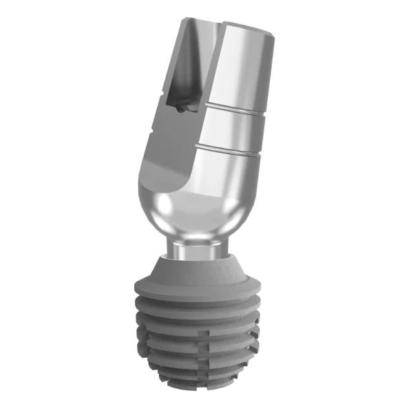 18 Angled Prosthetic Abutment Implants