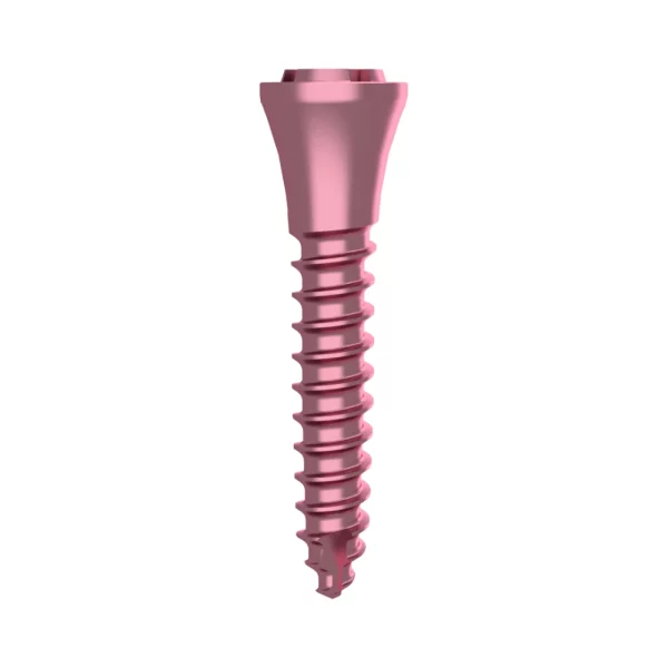 Supporting Screw System