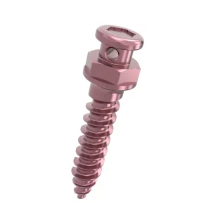 1.2-1.4 Titannium Alloy Micro Screw Orthodontics