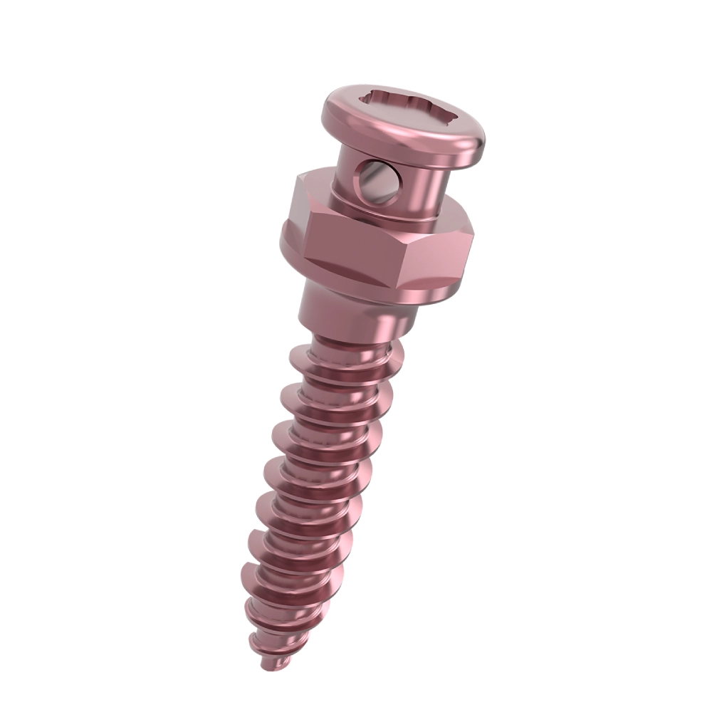 1.2-1.4 Titannium Alloy Micro Screw Orthodontics