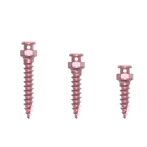 1.6-2.0 Titannium Alloy Orthodontic Anchorage Screw-3