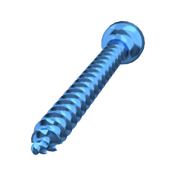 Pointed bone screw