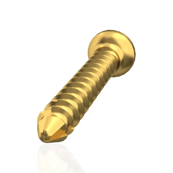 Blunt bone screw