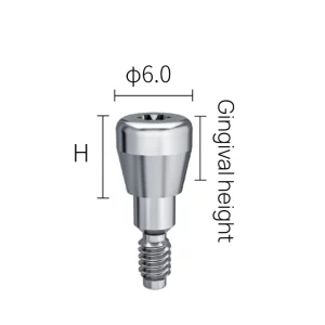 RP 6.0 Healing Abutment Parameter