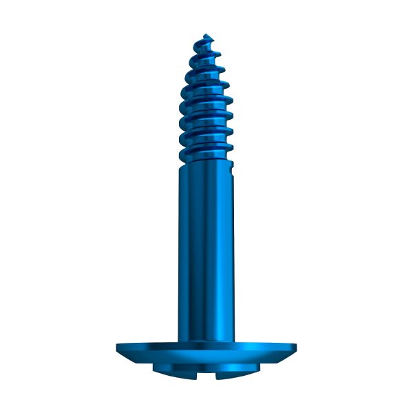 Tenting Screws For Bone Grafting-2