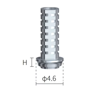 4.6 Temporary Abutment (no anti-rotation)