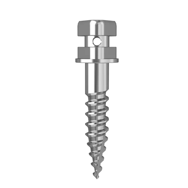 Stainless Steel Anchor Screw-1