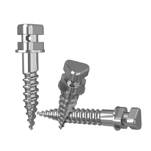 Stainless Steel Anchor Screw-2